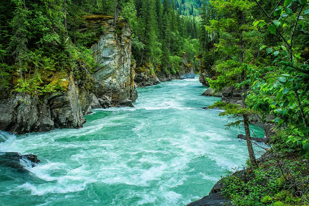Early Warning and Monitoring Solution for Watershed Water Environment