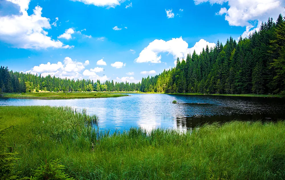 Early Warning and Monitoring Solution for Drinking Water Sources