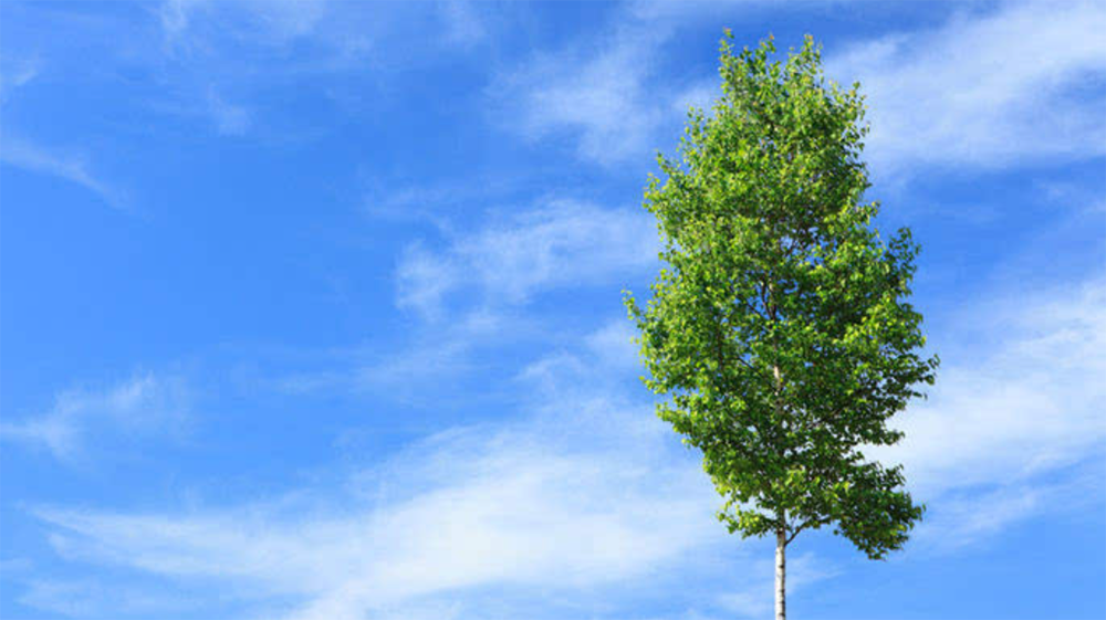 Hunan Province Smart Atmospheric Component Monitoring Network Comprehensive Application