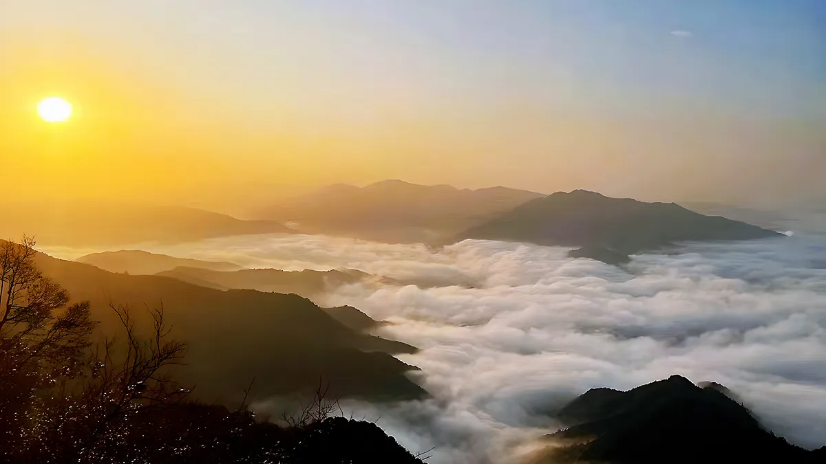 Lihe Technology assists in the construction of the Nanling Forest Atmospheric Environment and Carbon Neutrality Field Scientific Observation and Research Station